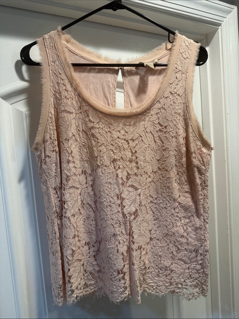 Banana Republic Blush Lace Sleeveless Camisole